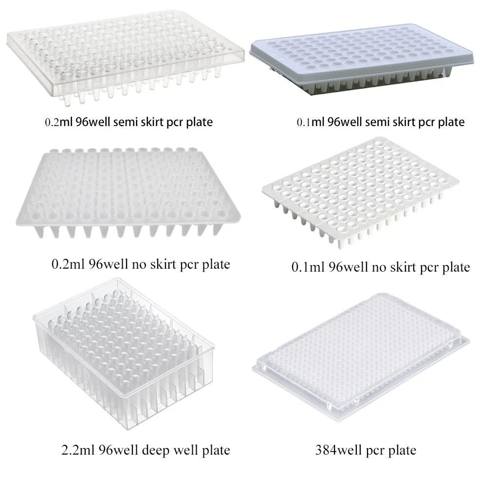 PCR Plate PCR Plate