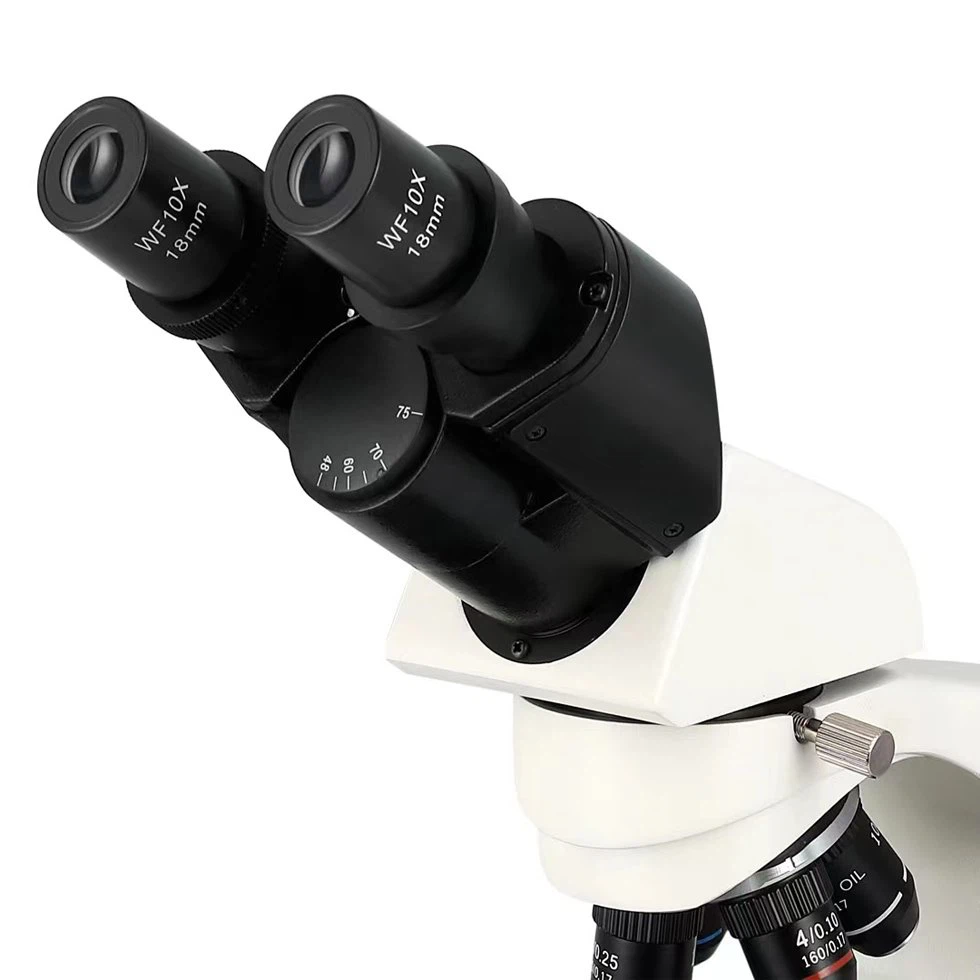 Biology Bacteria Microscope