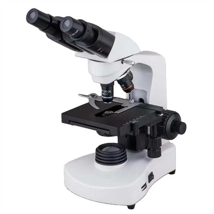 Biology Bacteria Microscope